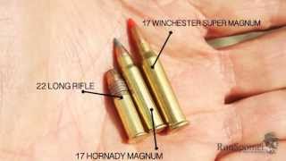 Worlds Most Powerful Rimfire  17 Winchester Super Magnum [upl. by Asirap]