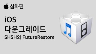 심화편 아이폰 iOS 다운그레이드 하는법 SHSH Futurerestore [upl. by Jany]