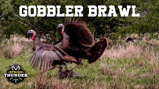 AGGRESSIVE Gobblers  Opening Week Success  Realtree Spring Thunder [upl. by Aiem]