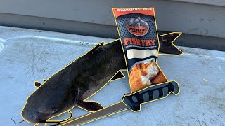 CHANNEL CATFISH Catch Clean and Cook [upl. by Atelokin]