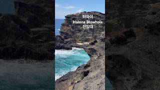 하와이 Halona Blowhole 전망대 [upl. by Pacian]