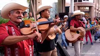 Tríos Tordo Huasteco y Eco Potosino desde el Centro de San Luis Potosí [upl. by Rodi]