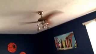 Westinghouse Elite Ceiling Fan Better Lighting [upl. by Karol]