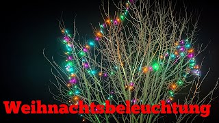 Weihnachtsbeleuchtung im Garten [upl. by Desdamonna]