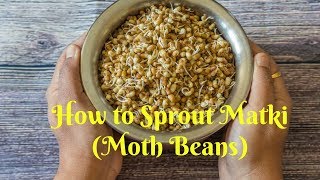 How to sprout Matki Moth Beans SproutsKalimirchbysmita Episode 248 [upl. by Urbai]