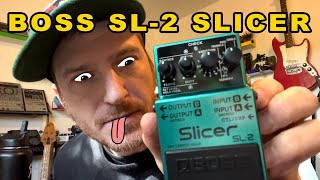 Unboxing the Boss SL2 Slicer  DEMO [upl. by Hoffarth101]