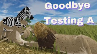 Roblox  Testing A Update  Goodbye Testing A [upl. by Booze]