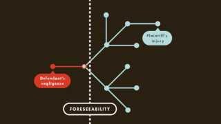 Tort Law tutorial Proximate Causation  quimbeecom [upl. by Eellah46]