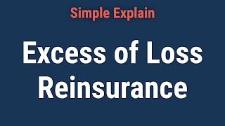 What Is Excess of Loss Reinsurance [upl. by Sherry]