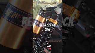 Is Cafe Racer Sportster Rear Shock Sag Ruining Your Ride [upl. by Noiram]