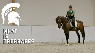 What is Dressage [upl. by Drofxer]