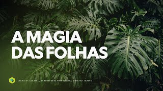 A MAGIA das FOLHAS COMPOSTAS RECORTADAS e ENCANTADORAS [upl. by Roarke]