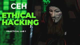 CEH Lab 1 Reconnaissance FootPrinting  Information Gathering  Urdu  Hindi [upl. by Aihsyn]