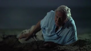 Sir David Attenborough being iconic for 25 minutes [upl. by Highams14]