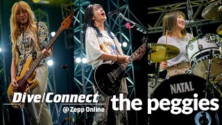 kiminosei  the peggies Live  Dive Connect  Zepp Online [upl. by Naaman66]