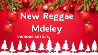 New Reggae Medley  Various Artistskaraoke [upl. by Fotinas811]