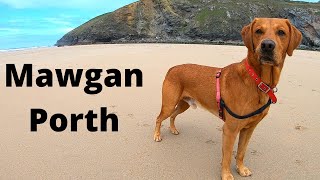 Dog Friendly Campsite Cornwall  MAWGAN PORTH  Sun Haven Valley Campsite [upl. by Eirotal546]