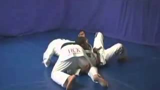 Ronaldo Jacare Souza DVD jiu jitsu concept 3 [upl. by Meilen]