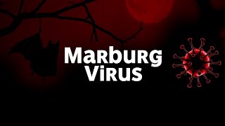 Marburg Virus Strikes Again shorts A resurgence emerges [upl. by Cori]