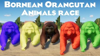 Colored Bornean Orangutan Animals Races in Planet Zoo included Colored Bornean Orangutan [upl. by Rintoul]