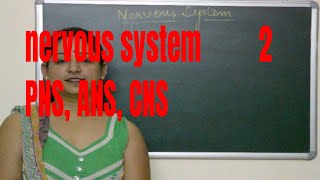 Types of Nervous systemCNSPNSANSExplained BIOLOGY  ICSE CBSE Board Exams [upl. by Anez]