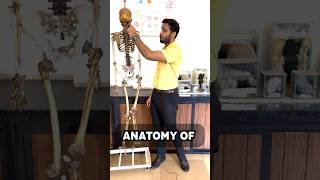 Anatomy of Spine simplified  Part1 [upl. by Bellaude983]