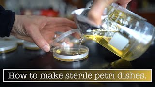 Making Petri Dishes [upl. by Ykcaj]