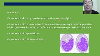 Hematologia Aula 06 Monócitos Vídeo aula [upl. by Waylon]