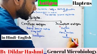 AntigenIncomplete Antigen Haptens [upl. by Ilarrold657]