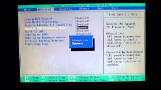 PC Bios Explained  CPU Dynamic frequency [upl. by Adrahc]
