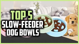 Slow Feed Dog Bowl How To Make One [upl. by Aitetel]