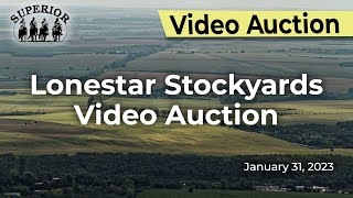 LoneStar Stockyards Internet Auction [upl. by Rosa]