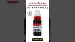 Chelidonium Majus homeopathic medicine চেলিডোনিয়াম হোমিওপ্যাথিক মেডিসিন হোমিও ঔষধ lycopodium 200 [upl. by Amairam48]