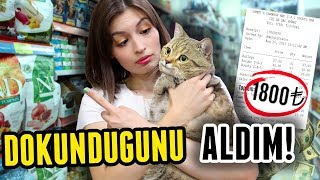 KEDİMİN DOKUNDUĞU HER ŞEYİ ALDIM [upl. by Ailey481]