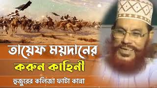 delwar hossain saidi waz mahfil তায়েফ ময়দানে করুন কাহিনি। যে শুনে সেই কাদে। [upl. by Yrdnal312]