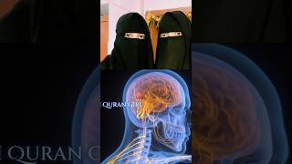 The Qurans Scientific Miracle Skin as a Pain Receptor [upl. by Yahsel167]