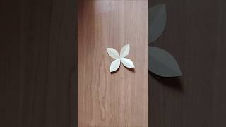 Paper Flower  Different style of paper folding paper papercraft flower folding diyflower [upl. by Hildegard]