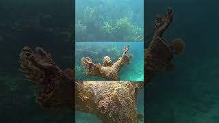 Have you ever been to Key Largo and snorkeled around the world famous “Christ of the Abyss” 🤿 [upl. by Hewie435]