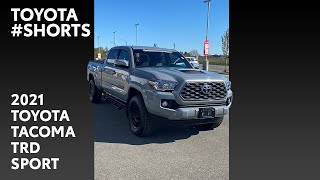 2021 Toyota Tacoma TRD Sport in cement colour shorts [upl. by Johnette817]