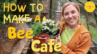 How to make a Bee Cafe  Maddie Moate [upl. by Hevak]