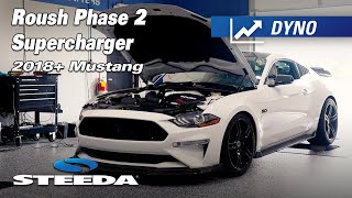 How Much Horsepower Does a Phase 2 Roush Supercharger Actually Make [upl. by Oirazan]