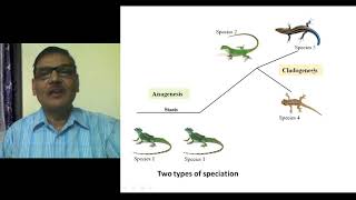 Modes of Speciation Formation of New Species [upl. by Yboj]