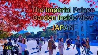 4K The Imperial Palace Tour Walking tour in the Imperial Palace and Kitanomaru Park TokyoJapan [upl. by Nydnarb]