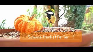 Schöne Herbstferien [upl. by Janerich]