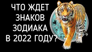 ЧТО ЖДЕТ ЗНАКОВ ЗОДИАКА В 2022 ГОДУ ЧЕРНОГО ВОДЯНОГО ТИГРА КАКИМ БУДЕТ 2022 ГОД ТИГРА [upl. by Norra638]