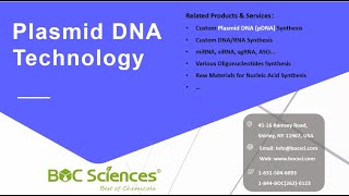 What is a Plasmid  Plasmid DNA Technology  Plasmid DNA pDNA Manufacturing  What is pDNA [upl. by Beck]