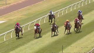 Toowoomba 20241105 Race 2 [upl. by Adnaluoy627]