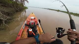 UNA espectacular pesca en kayak en el rio Paraná [upl. by Andres570]