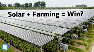 Solar Panels Plus Farming Agrivoltaics Explained [upl. by Primrosa]