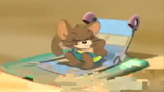 Tom si Jerry pe muzica ep 1 [upl. by Golding]